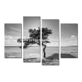 Art en noir et blanc Peinture en toile Art / Paysage naturel Toile Wall Art